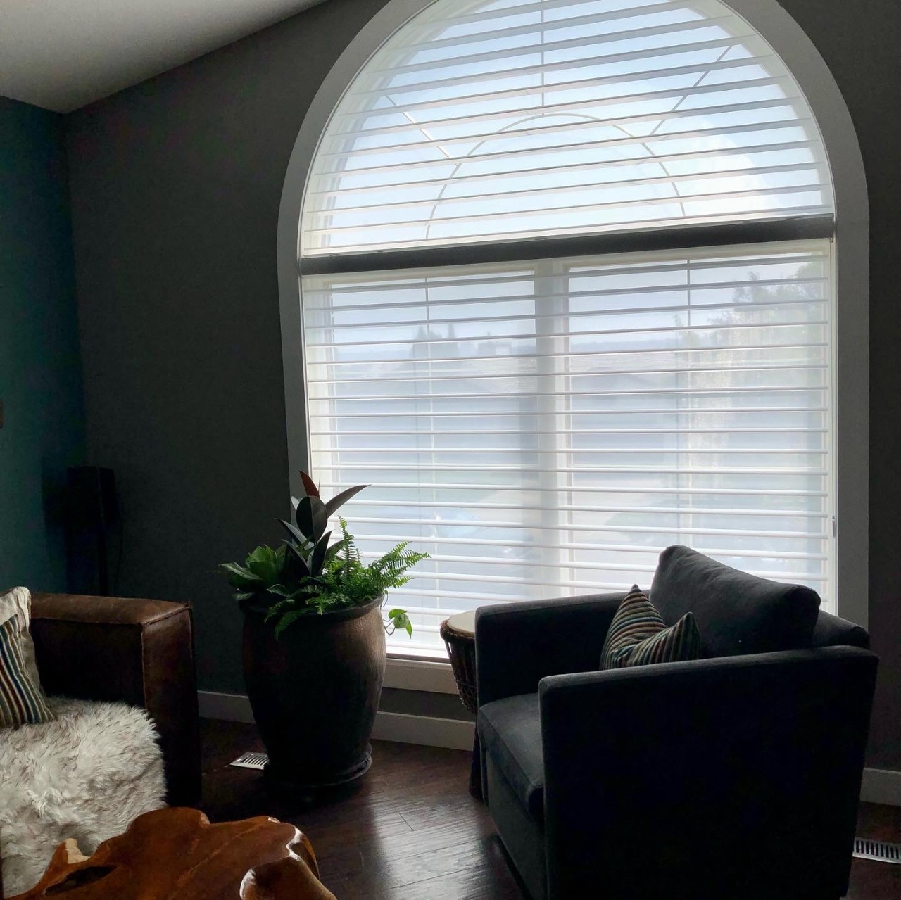 Hunter Douglas Dealer Image